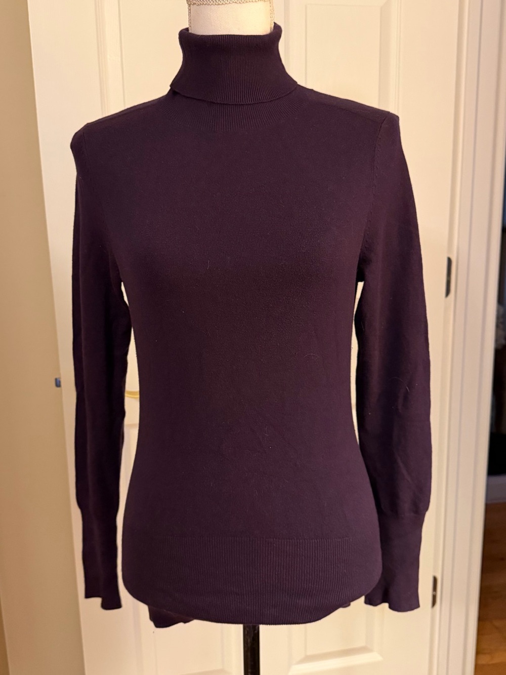 Banana Republic Turtleneck  - Deep Plum